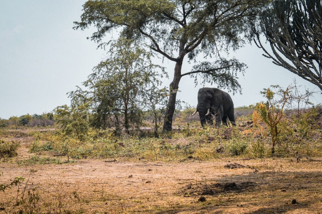 Uganda   FOT 1434