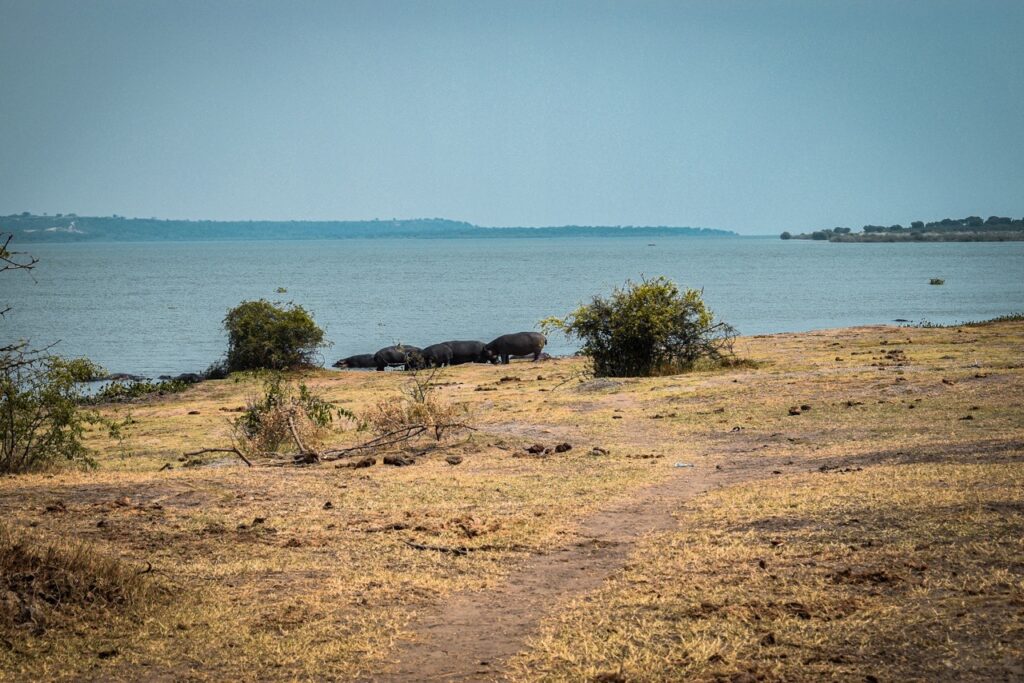 Uganda   FOT 1445